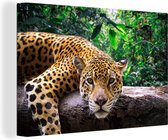 Canvas Schilderij Jaguar - Boomstam - Jungle - 90x60 cm - Wanddecoratie