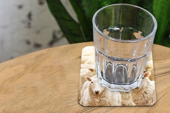 Dessous de Sous-verres - Mouton - Laine - Wit - 10x10 cm - 6 pièces