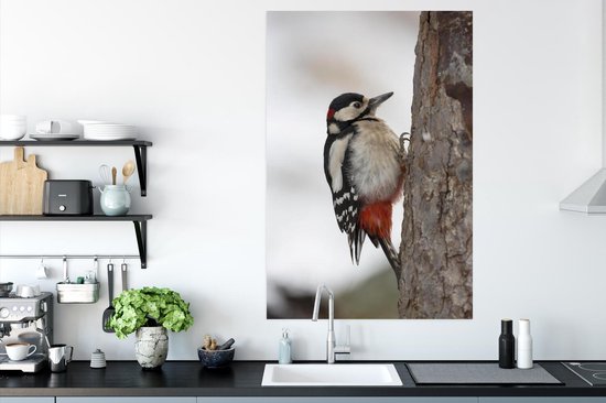 Un grand pic tacheté en hiver Poster 80x120 cm - Tirage photo sur Poster (décoration murale salon / chambre)