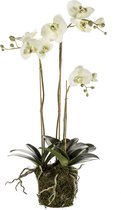 Kunstbloem Orchidee mos 75cm groen