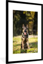 Fotolijst incl. Poster - Een Duitse herdershond zit in groen gras - 80x120 cm - Posterlijst