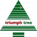Triumph Tree merklogo met een gestileerde groene kerstboom.