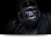 Maison de France - Canvas Gorilla - zwartwit - canvas - 100 x 150 cm