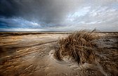 Mooie Duinen in Nederland op Puzzel - Moeilijke Puzzel 1000 stukjes | Landschap - Fons Kern