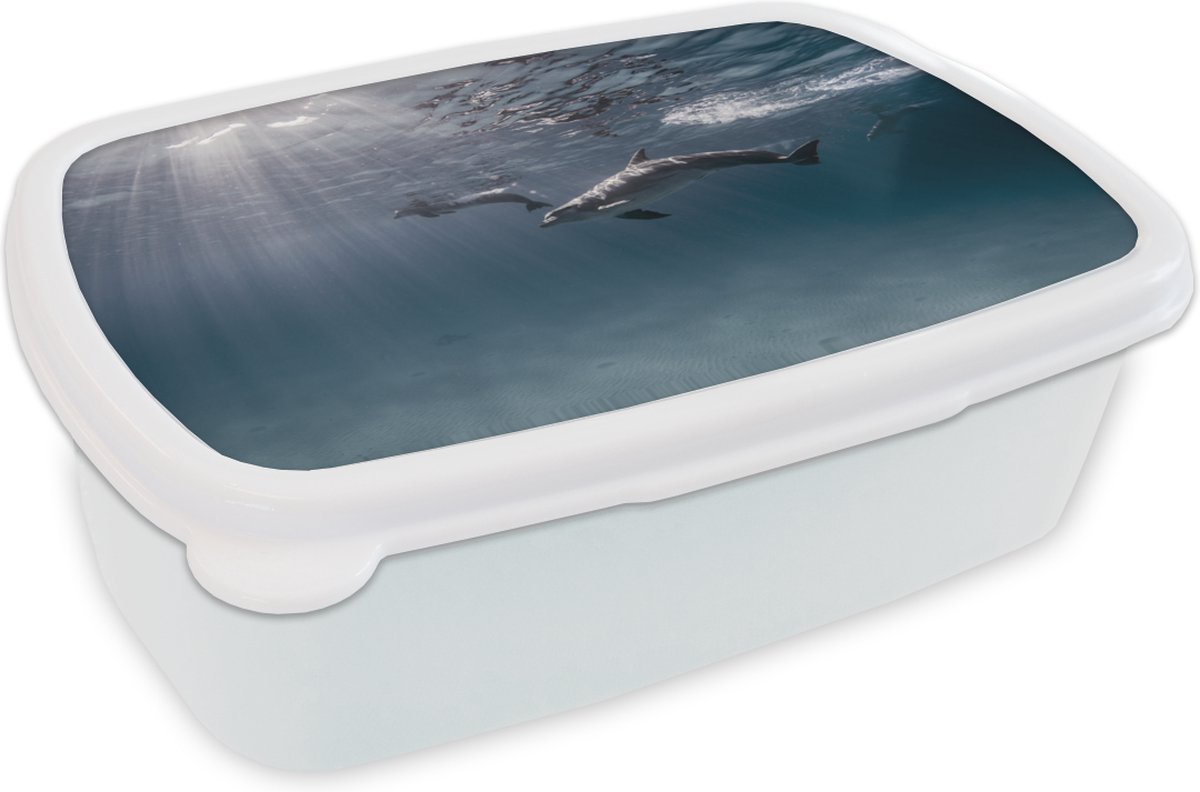 Broodtrommel Wit - Lunchbox - Brooddoos - Dolfijn - Zon - Zee - 18x12x6 cm - Volwassenen