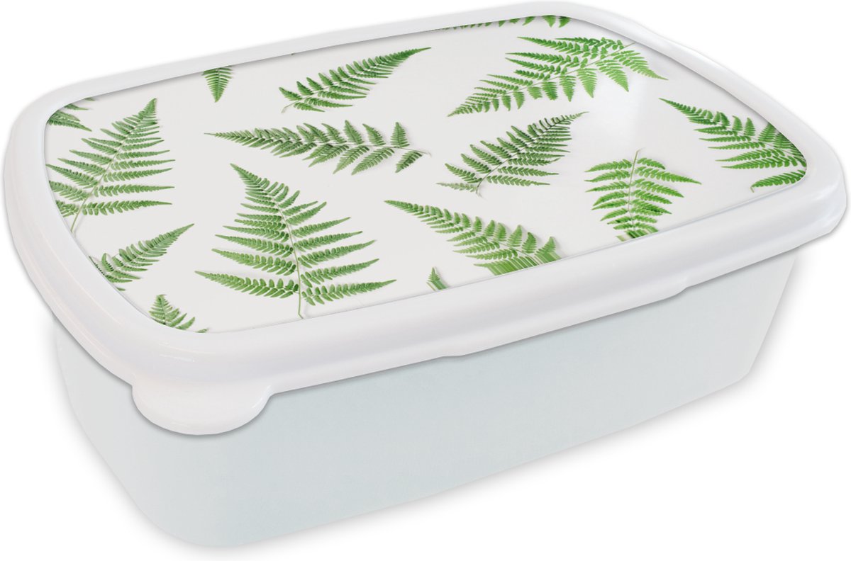 Broodtrommel Wit - Lunchbox - Brooddoos - Tropisch - Varen - Groen - 18x12x6 cm - Volwassenen