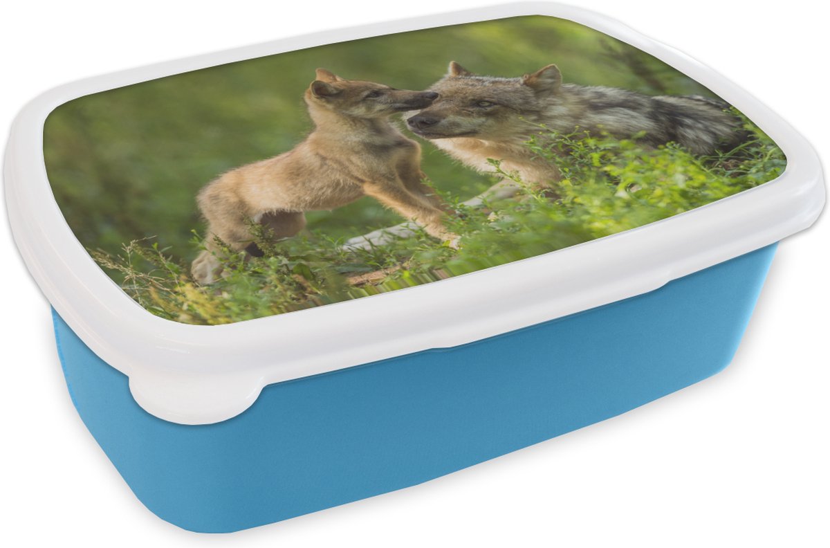 Broodtrommel Blauw - Lunchbox - Brooddoos - Wolf - Gras - Welp - 18x12x6 cm - Kinderen - Jongen