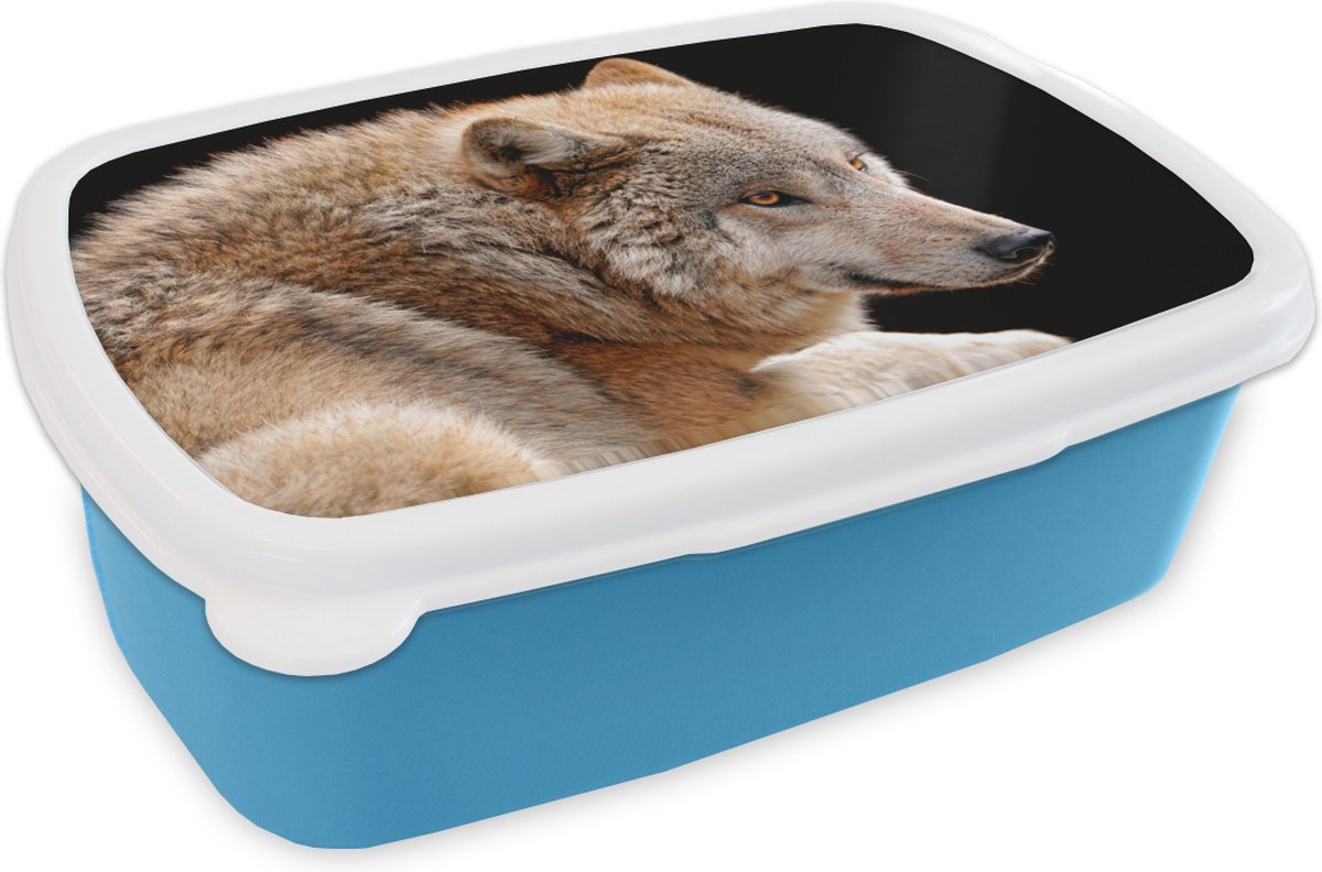 Broodtrommel Blauw - Lunchbox - Brooddoos - Bruine wolf - 18x12x6 cm - Kinderen - Jongen