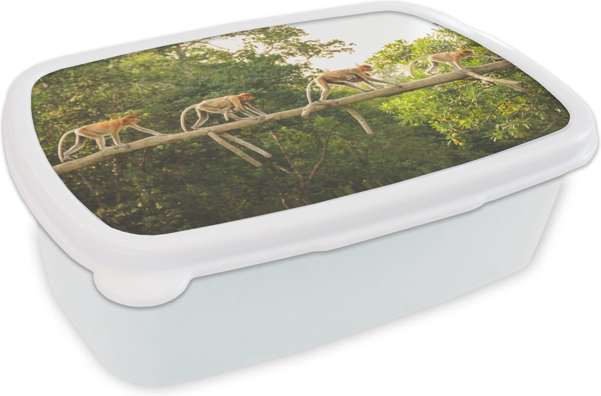 Broodtrommel Wit - Lunchbox - Brooddoos - Apen wandelend over tak - 18x12x6 cm - Volwassenen