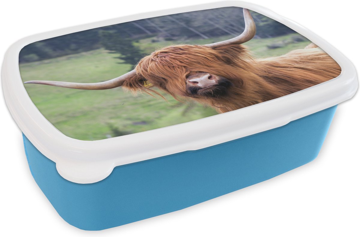 Broodtrommel Blauw - Lunchbox - Brooddoos - Schotse hooglander - Portret - Natuur - 18x12x6 cm - Kinderen - Jongen