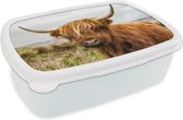 Broodtrommel Wit - Lunchbox - Brooddoos - Schotse hooglander - Koe - Duinen - 18x12x6 cm - Volwassenen