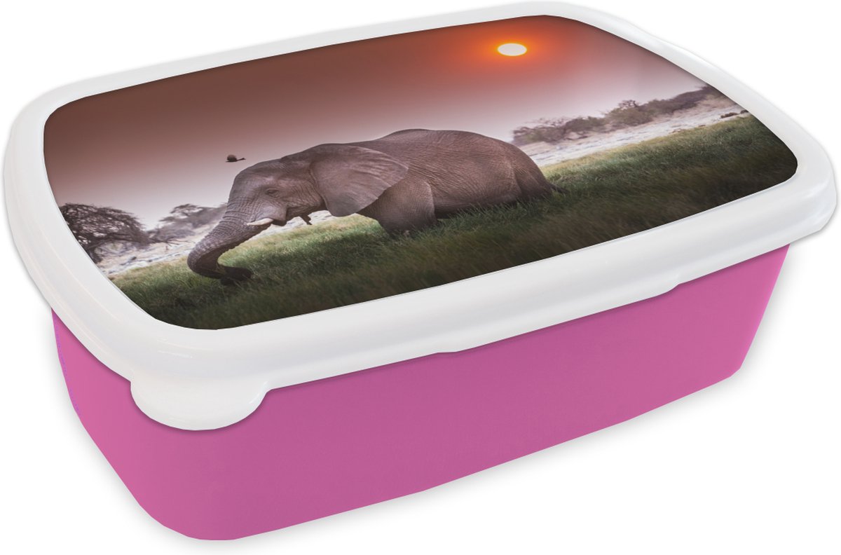 Broodtrommel Roze - Lunchbox - Brooddoos - Rode zonsondergang boven een olifant in het gras - 18x12x6 cm - Kinderen - Meisje