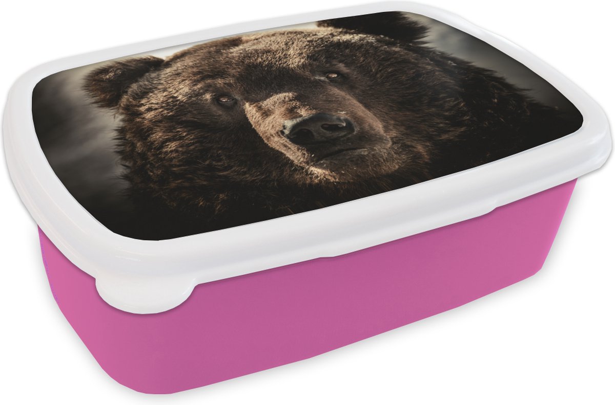 Broodtrommel Roze - Lunchbox - Brooddoos - Beer - Vacht - Bruin - 18x12x6 cm - Kinderen - Meisje