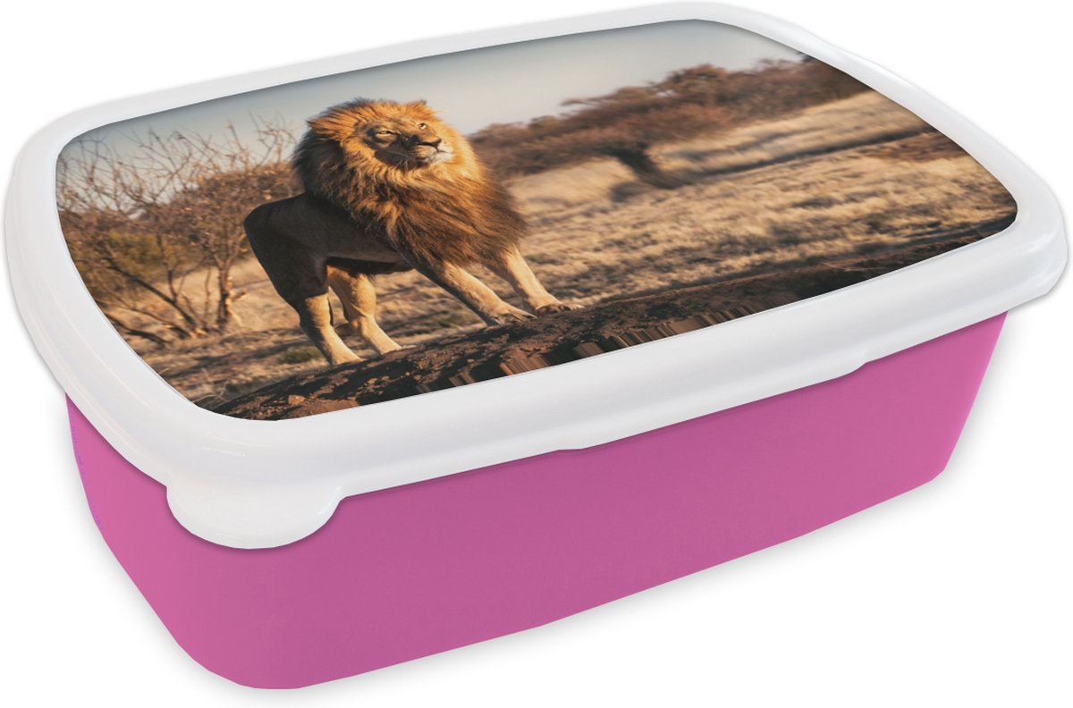 Broodtrommel Roze - Lunchbox - Brooddoos - Leeuw - Heuvel - Zon - 18x12x6 cm - Kinderen - Meisje