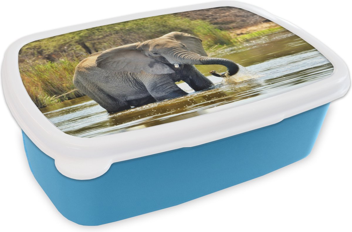 Broodtrommel Blauw - Lunchbox - Brooddoos - Badderende olifant - 18x12x6 cm - Kinderen - Jongen