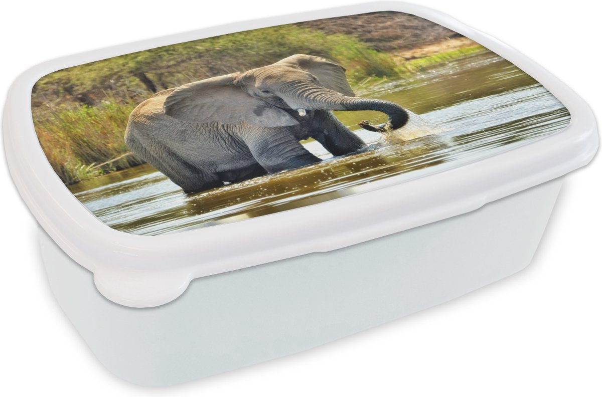 Broodtrommel Wit - Lunchbox - Brooddoos - Badderende olifant - 18x12x6 cm - Volwassenen