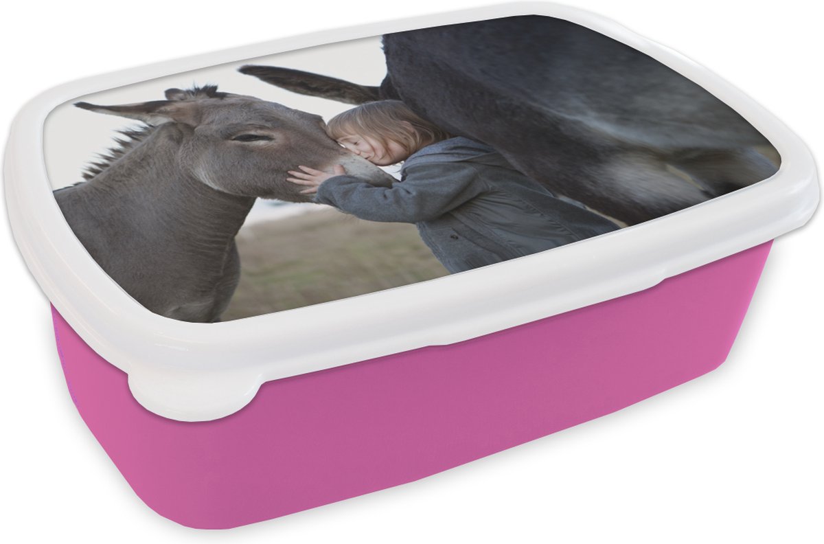 Broodtrommel Roze - Lunchbox - Brooddoos - Kind - Ezel - Kus - 18x12x6 cm - Kinderen - Meisje