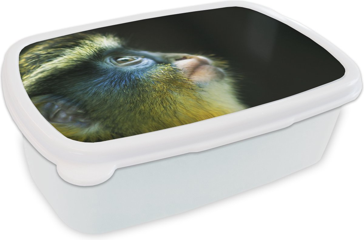 Broodtrommel Wit - Lunchbox - Brooddoos - Aap - Vacht - Zwart - 18x12x6 cm - Volwassenen