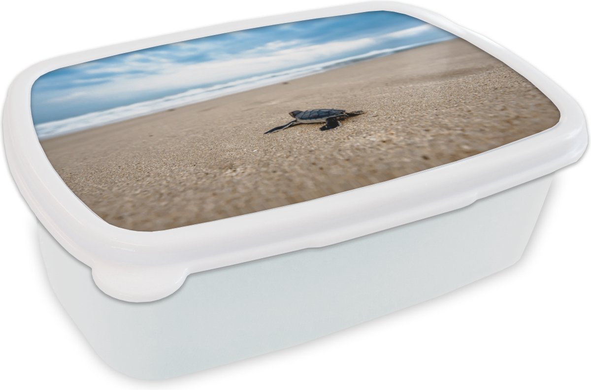 Broodtrommel Wit - Lunchbox - Brooddoos - Strand - Zee - Schildpad - 18x12x6 cm - Volwassenen