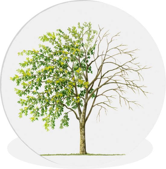 Une illustration d'un arbre de pluie doré qui perd des feuilles Assiette en  plastique... | bol.com