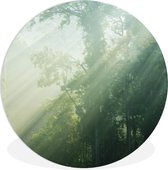 WallCircle - Wandcirkel ⌀ 140 - Zonnestralen bij een groen bos in Maleisië - Ronde schilderijen woonkamer - Wandbord rond - Muurdecoratie cirkel - Kamer decoratie binnen - Wanddecoratie muurcirkel - Woonaccessoires