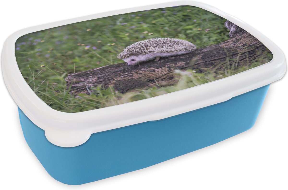 Broodtrommel Blauw - Lunchbox - Brooddoos - Egel op boomstronk - 18x12x6 cm - Kinderen - Jongen