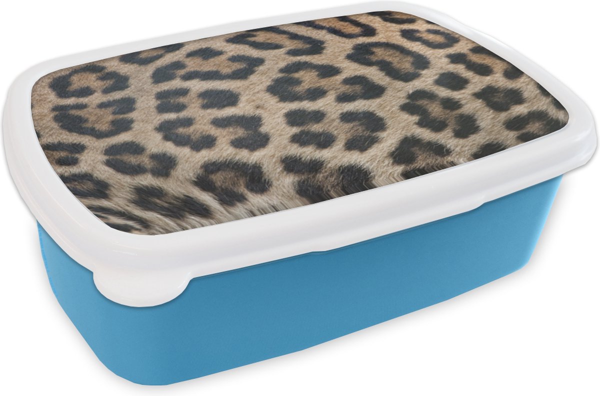 Broodtrommel Blauw - Lunchbox - Brooddoos - Luipaard print - 18x12x6 cm - Kinderen - Jongen