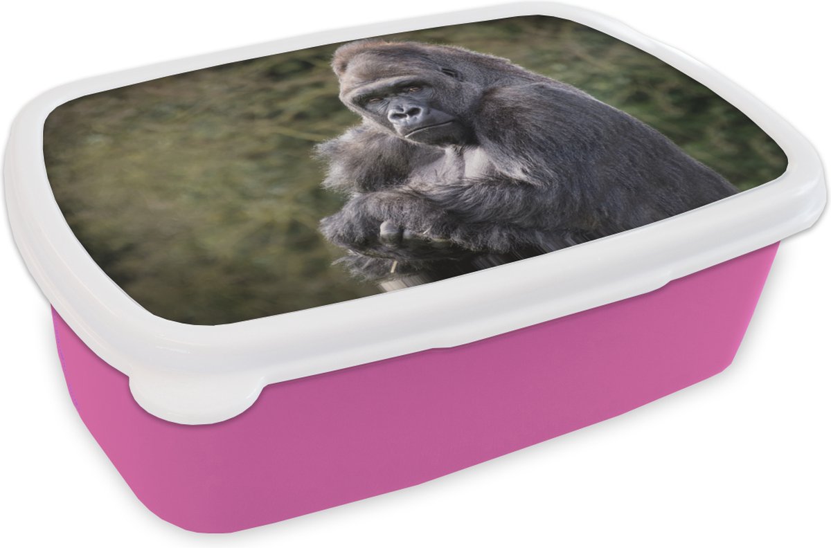 Broodtrommel Roze - Lunchbox - Brooddoos - Grote Gorilla kijkt recht in de camera - 18x12x6 cm - Kinderen - Meisje