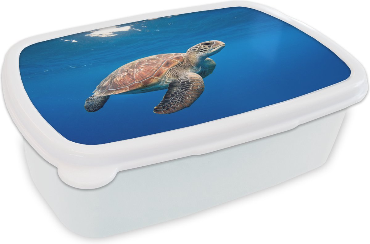 Broodtrommel Wit - Lunchbox - Brooddoos - Schildpad in de oceaan - 18x12x6 cm - Volwassenen