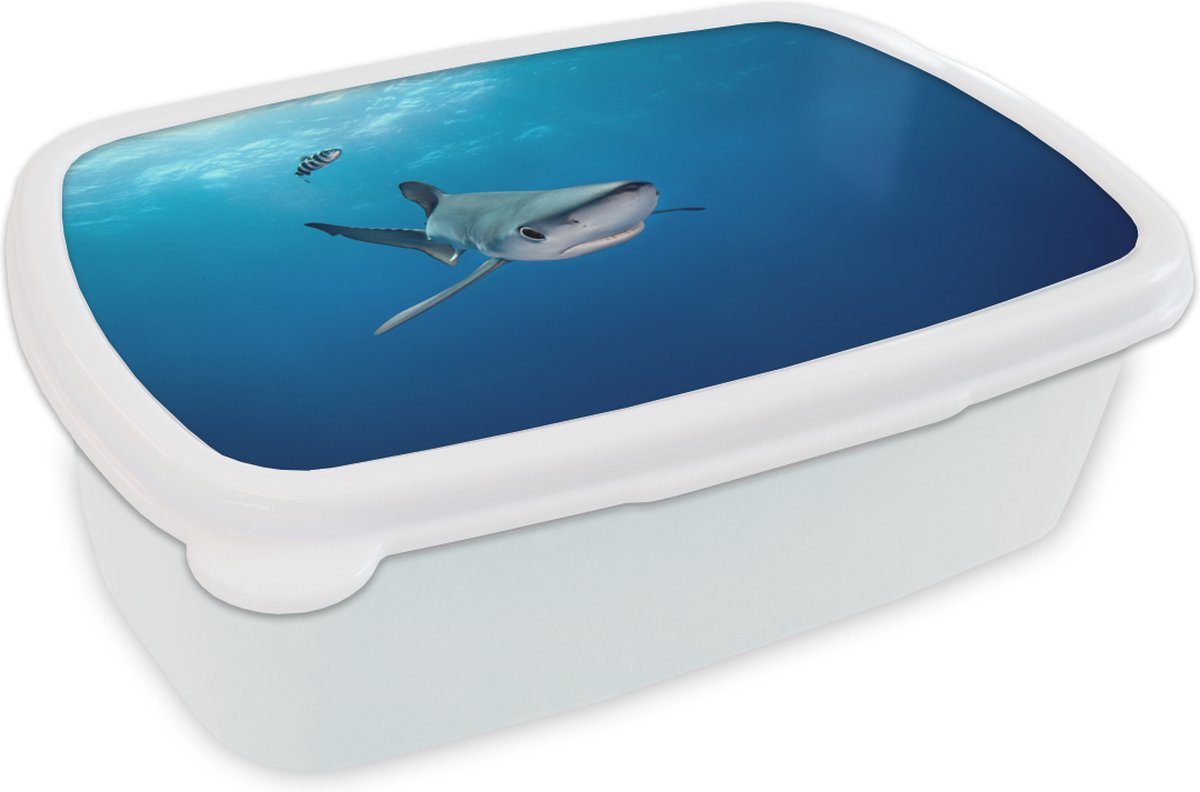 Broodtrommel Wit - Lunchbox - Brooddoos - Grote blauwe haai - 18x12x6 cm - Volwassenen