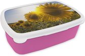 Broodtrommel Roze - Lunchbox - Brooddoos - Close-up van zonnebloemen in het veld - 18x12x6 cm - Kinderen - Meisje