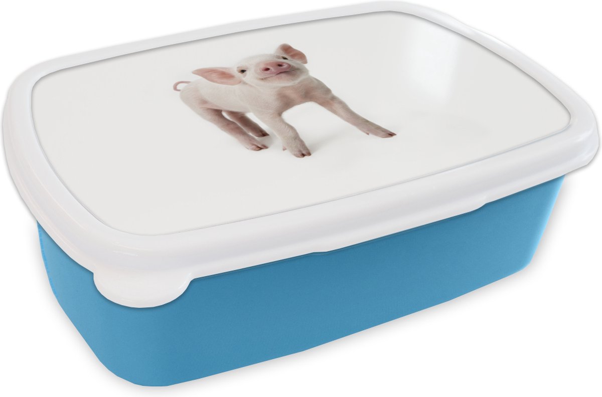 Broodtrommel Blauw - Lunchbox - Brooddoos - Varken - Dieren - Wit - 18x12x6 cm - Kinderen - Jongen