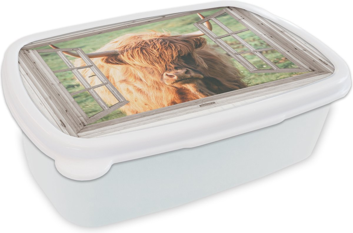 Broodtrommel Wit - Lunchbox - Brooddoos - Schotse hooglander - Doorkijk - Raam - Dier - 18x12x6 cm - Volwassenen