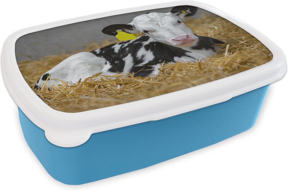Broodtrommel Blauw - Lunchbox - Brooddoos - Koe - Stro - Kalf - Dier - 18x12x6 cm - Kinderen - Jongen