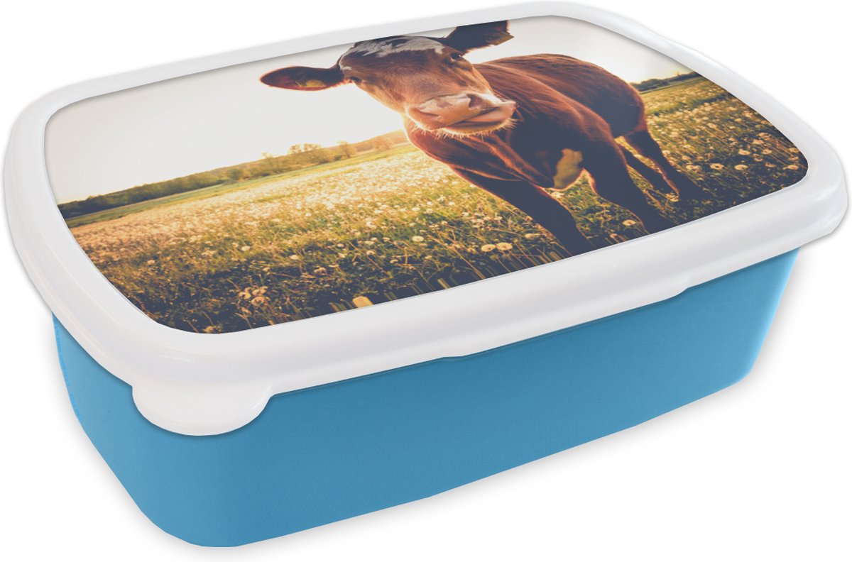 Broodtrommel Blauw - Lunchbox - Brooddoos - Koe - Dier - Zon - Bruin - 18x12x6 cm - Kinderen - Jongen