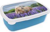 Broodtrommel Blauw - Lunchbox - Brooddoos - Paard - Bloemen - Paars - 18x12x6 cm - Kinderen - Jongen