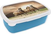 Broodtrommel Blauw - Lunchbox - Brooddoos - Paarden - Zand - Zomer - 18x12x6 cm - Kinderen - Jongen