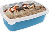 Broodtrommel Blauw - Lunchbox - Brooddoos - Paarden - Dieren - Gras - Vacht - 18x12x6 cm - Kinderen - Jongen