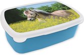Broodtrommel Blauw - Lunchbox - Brooddoos - Paard - Bloemen - Geel - 18x12x6 cm - Kinderen - Jongen