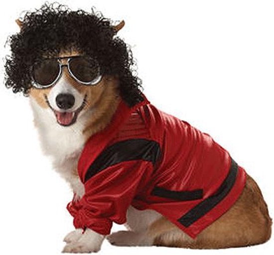 zondag restjes Zeeziekte Honden kostuum Michael Jackson | bol.com