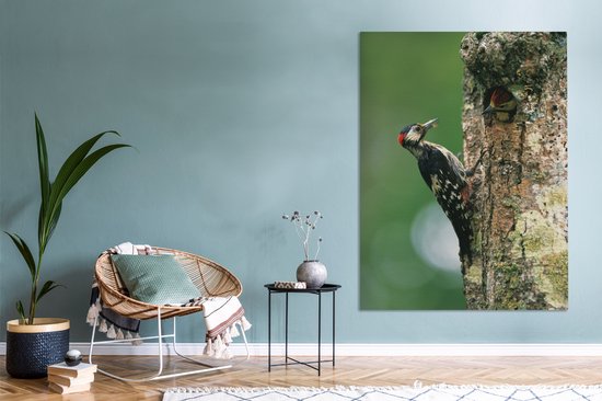 Un grand pic tacheté à son nid au Japon Toile 120x160 cm - Tirage photo sur Toile (Décoration murale salon / chambre) XXL / Groot format!