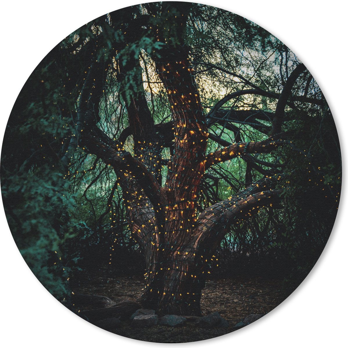 Muismat rond 30x30 cm - Mousepad Boom - Vuurvlieg - Natuur - Ronde muismatten