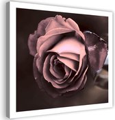 Trend24 - Canvas Schilderij - Mooie Roos - Schilderijen - Bloemen - 50x50x2 cm - Roze