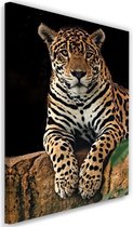 Trend24 - Canvas Schilderij - Rustende Leopard - Schilderijen - Dieren - 40x60x2 cm - Bruin