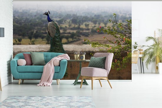 Papier peint photo en vinyle - Un paon vert face à la nature depuis un mur de pierre largeur 600 cm x hauteur 400 cm - Tirage photo sur papier peint (disponible en 7 tailles)