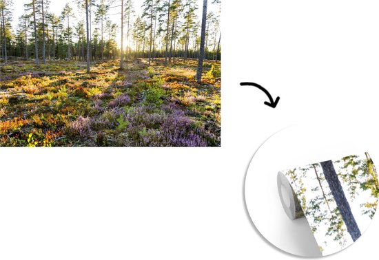 Papier peint Papier peint photo en vinyle - Arbres sur un paysage aux allures de bruyère largeur 600 cm x hauteur 400 cm - Tirage photo sur papier peint (disponible en 7 tailles)