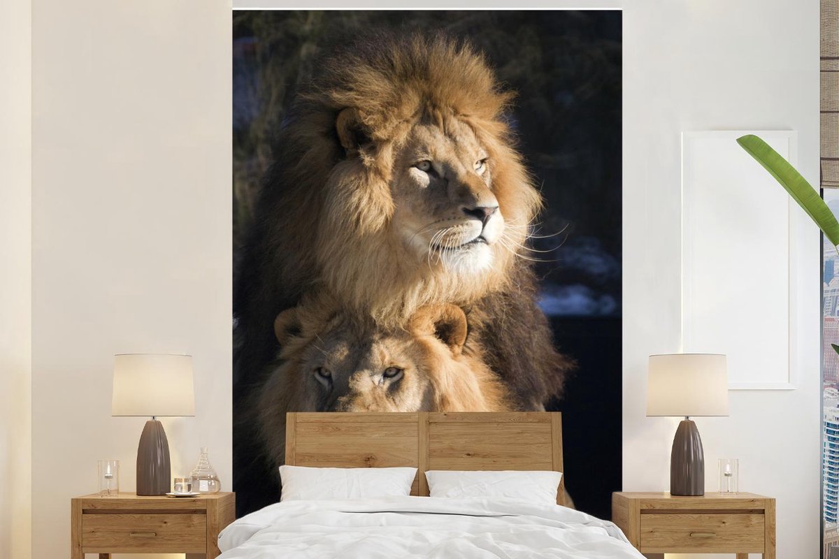 Behang - Fotobehang Leeuwen - Jagen - Wilde dieren - Breedte 145 cm x hoogte 220 cm