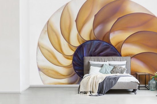 Coupe transversale de la fotobehang de coquille de nautile