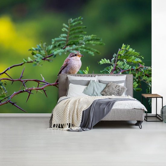 Vogel sur une branche dans la forêt 400x300 cm