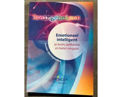Breingeheimen emotionele intelligentie je brein, zelfkennis en beter omgaan